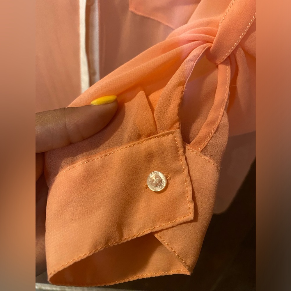 Sheer Button Down Blouse - image 3